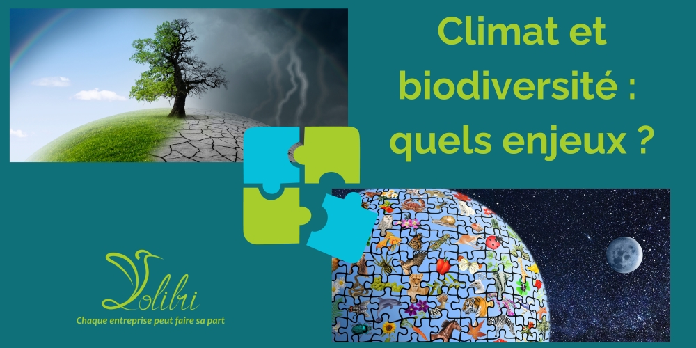 climat et biodiversité