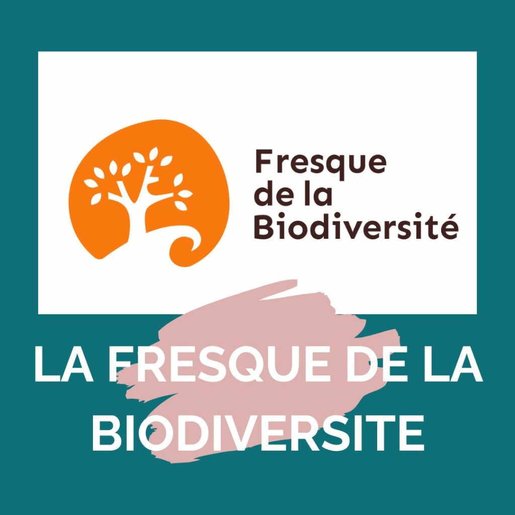 Fresque de la Biodiversité en Drôme