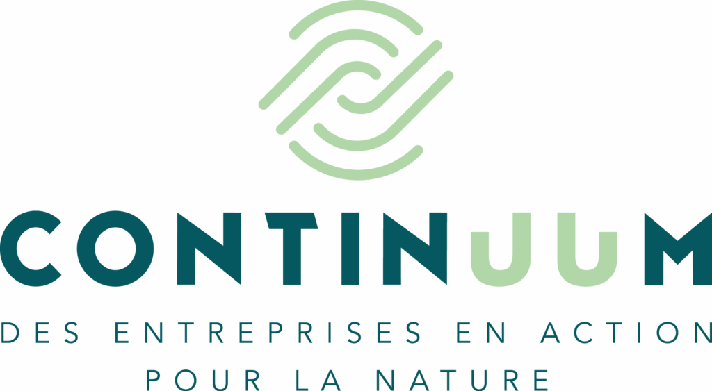 logo continuum